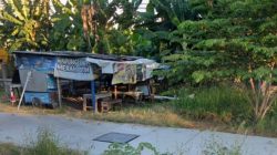 Hanya Berjarak 2 Kilo dari Polsek Sedati, Arena Sabung Ayam Terbesar dan Teramai di Sidoarjo