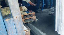 Judi Sabung Ayam di Kecamatan Krian, Polsek Diduga Tutup Mata?