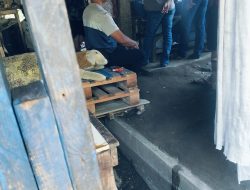Judi Sabung Ayam di Kecamatan Krian, Polsek Diduga Tutup Mata?