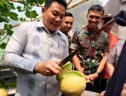 Bupati Subandi Resmikan Wisata Petik Melon BUMDes Candinegoro, Kecamatan Wonoayu