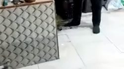 Pimpinan Pendanaan Masyarakat Rampas Barang Milik Nasabah