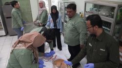 Peringati World Rabies Day, Dinas Pangan dan Pertanian Sidoarjo GelarVaksinasi Rabies Gratis