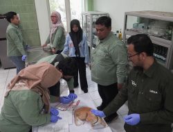 Peringati World Rabies Day, Dinas Pangan dan Pertanian Sidoarjo GelarVaksinasi Rabies Gratis