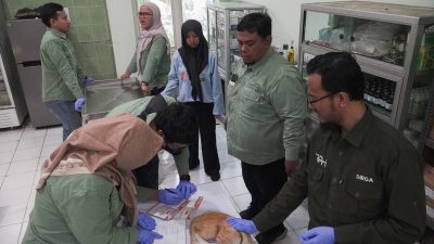Peringati World Rabies Day, Dinas Pangan dan Pertanian Sidoarjo GelarVaksinasi Rabies Gratis