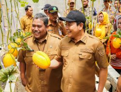 Bupati Subandi Resmikan Wisata Petik Melon Premium BUMDes Sidorejo